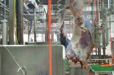南宫NG·28(中国)相信品牌力量,NG相信品牌的力量官网,NG28相信品牌的力量食品